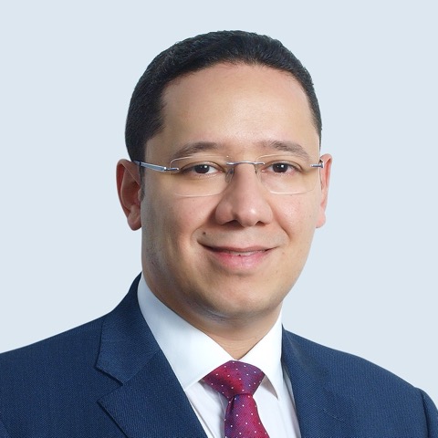 Sayed Al-Sayed